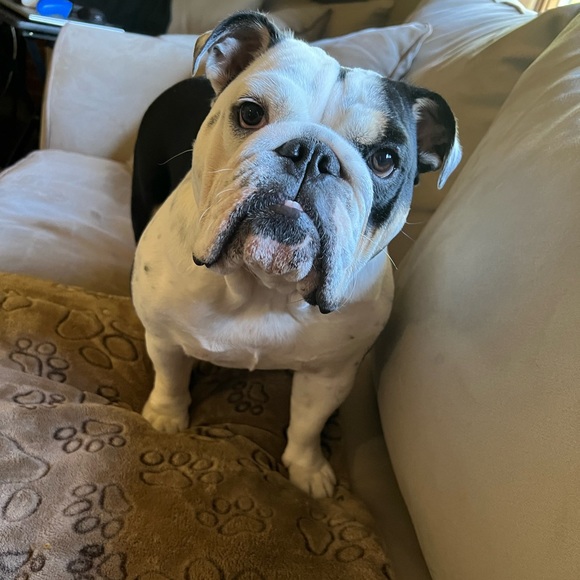 Meet your Posher, Susan - Picture 2 of 3